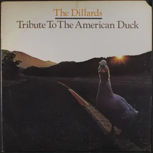 Tribute to the American duck